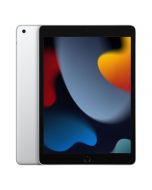 Apple iPad 10.2 (2021) Wi-Fi - 256GB - Zilver